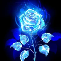 गुलाब का फूल वॉलपेपर